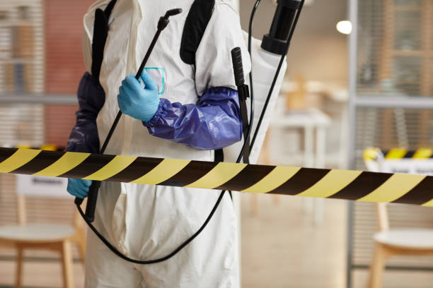 Professional Hoarding Cleanup technician working in Center Point, TX